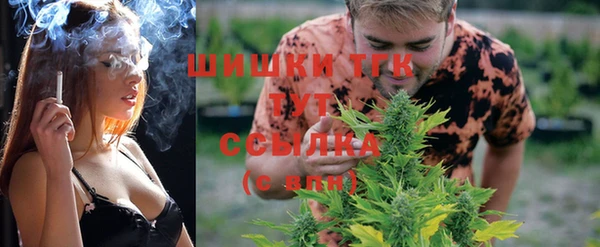 дурь Алексеевка