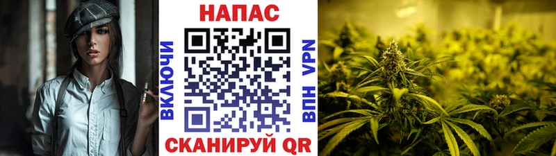 МАРИХУАНА SATIVA & INDICA Нефтекамск